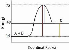 Aktivasi Adalah